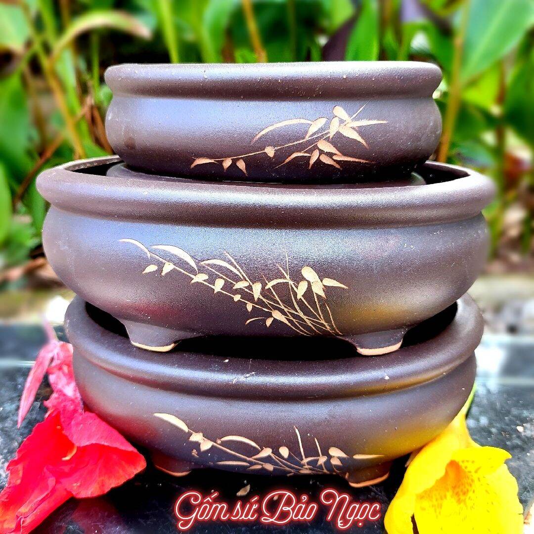 Chậu tượng họt xoài bonsai men sứ cao cấp gốm sứ bảo ngọc bảo hành 20 năm