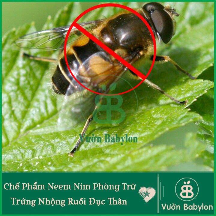 CHẾ PHẨM TRỪ SÂU SINH HỌC NEEMNIN  ẤN ĐỘ