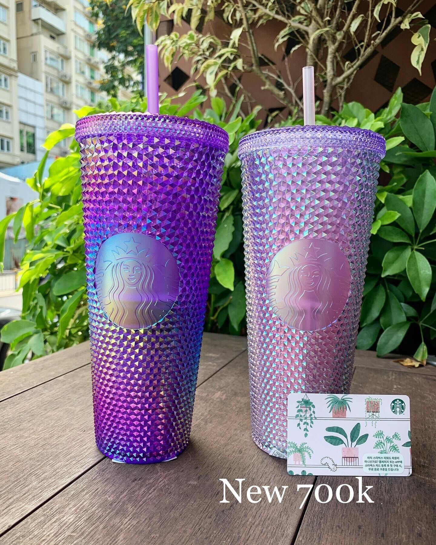 Ly starbucks studded tím korea mùa sakura 24oz