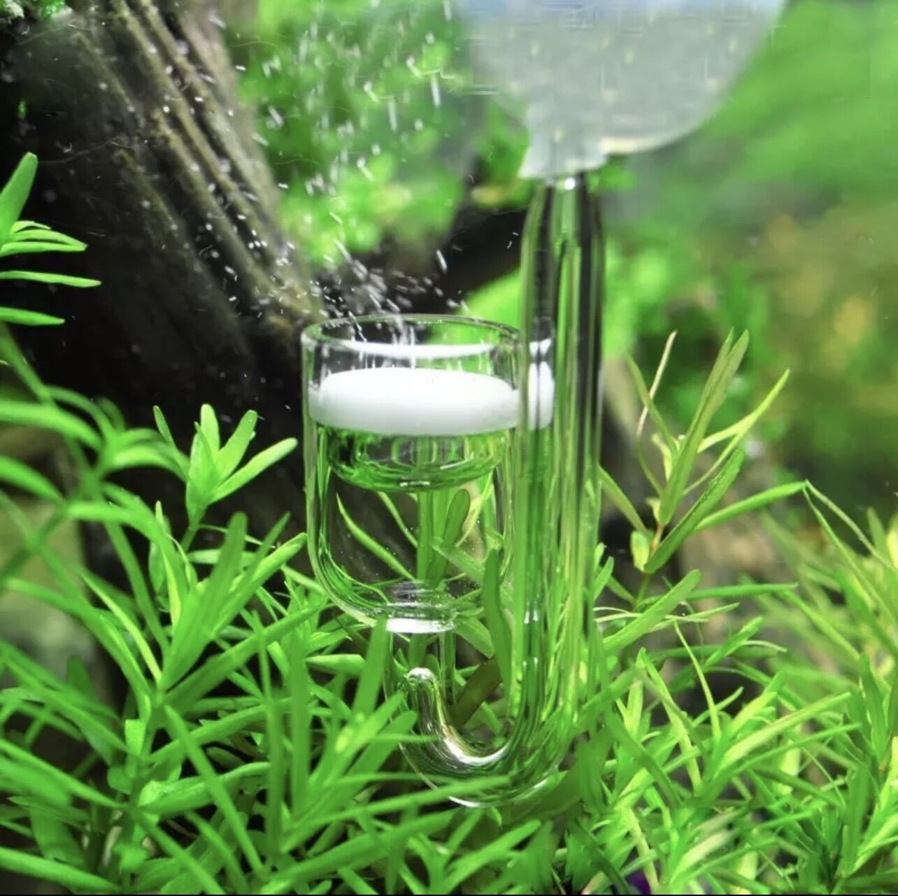 Bộ cốc sủi CO2 siêu mịn 4 món