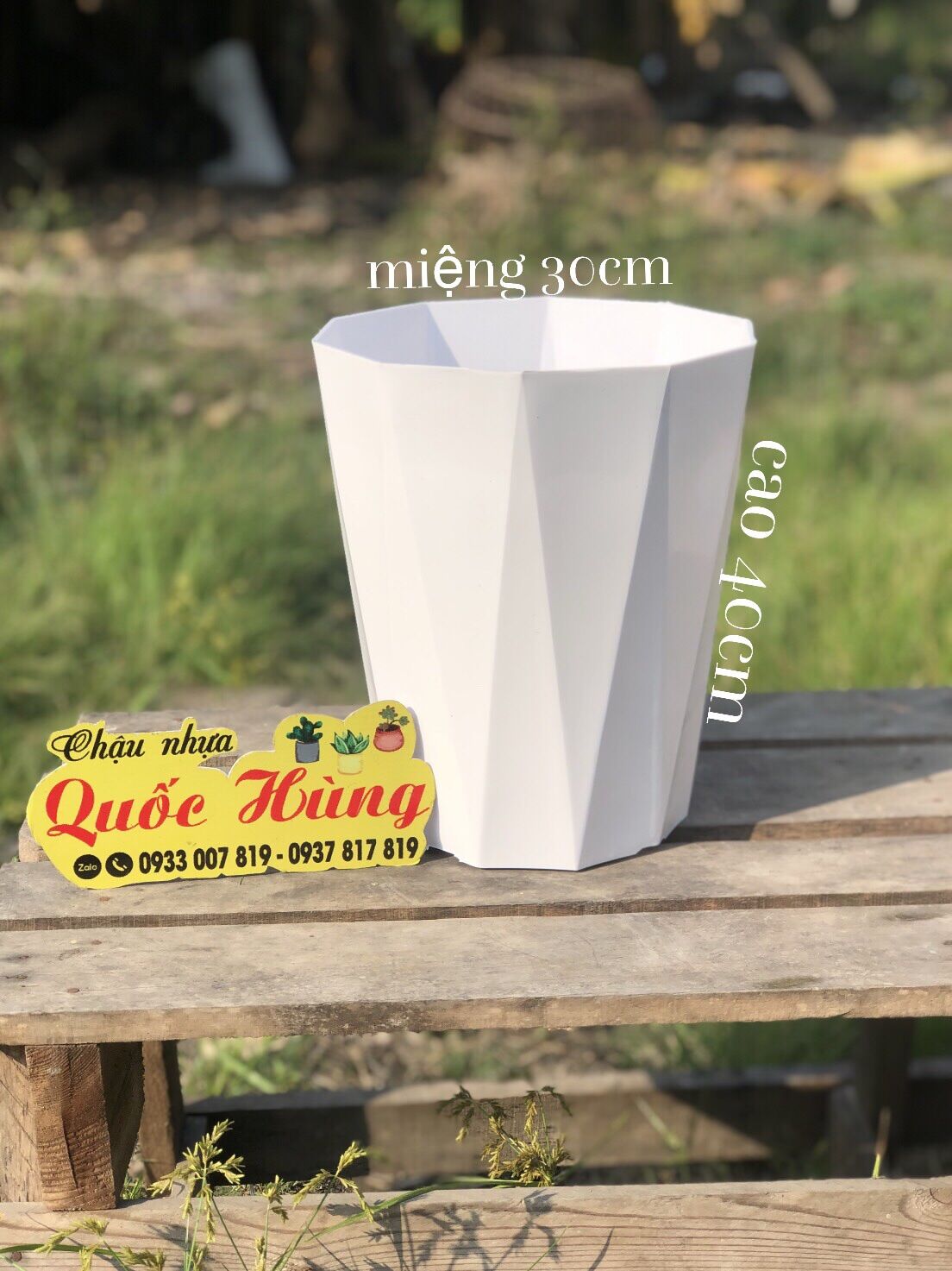 Combo 10 chậu nhựa trồng cây kim cương S4