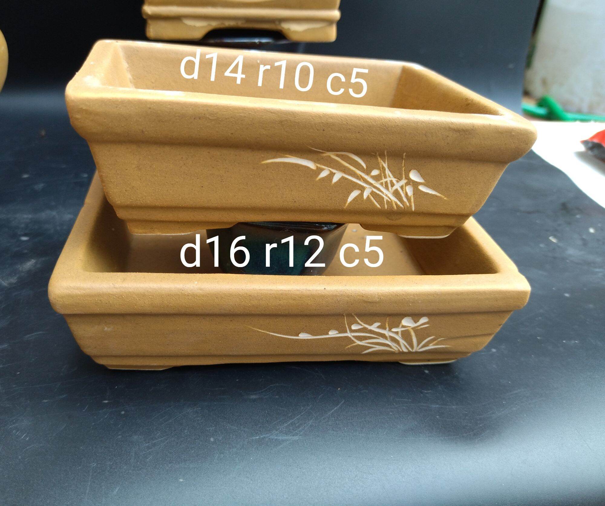 bộ 2 chậu chữ nhật bonsai