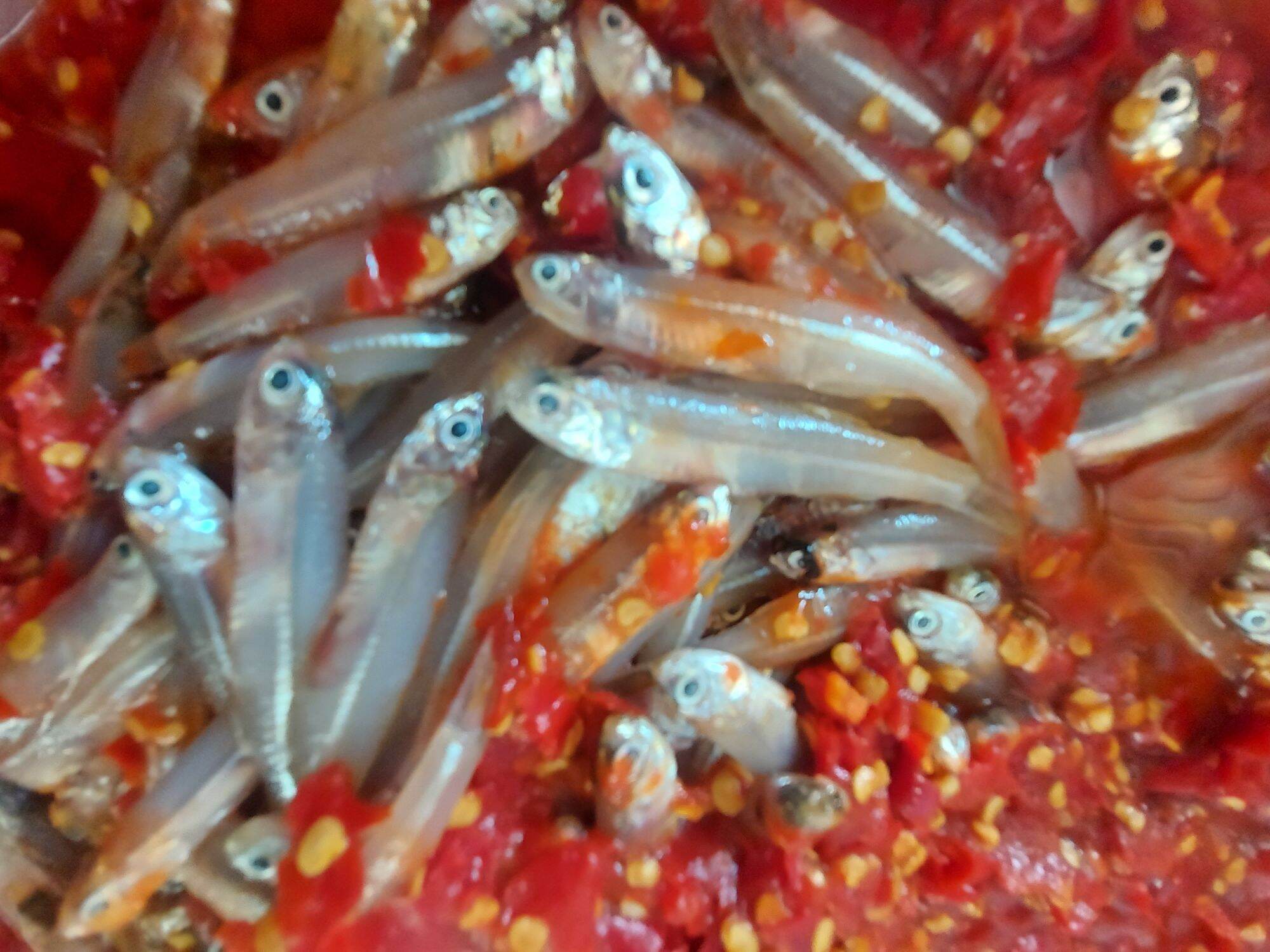 Mắm cá cơm xổi đặc sản Huế Lăng Cô 650gr