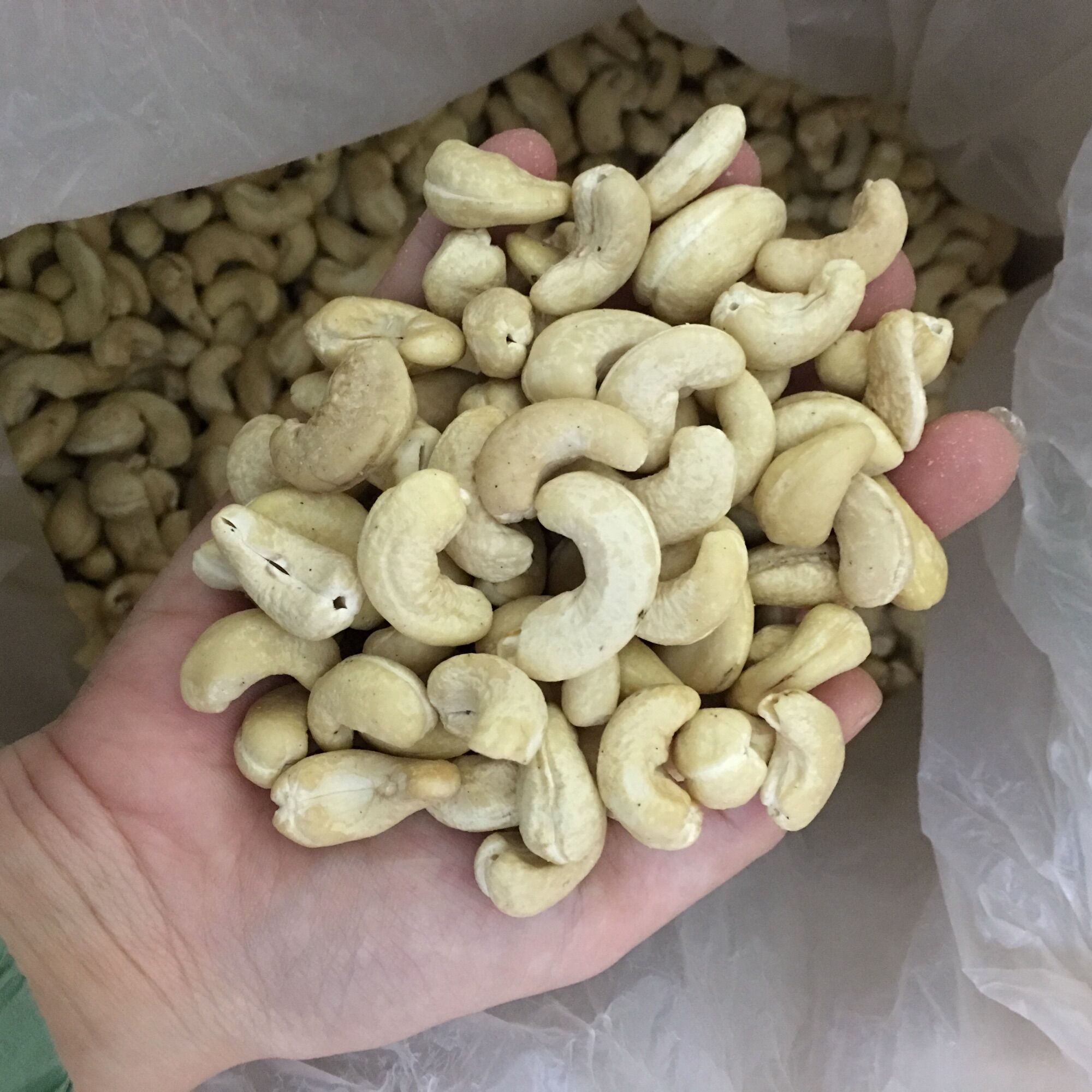 1kg nhân hạt điều tươi sống nguyên hạt làm sữa loại ngon hàng bao mới-