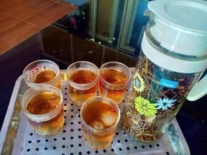 Cà gai leo phơi khô