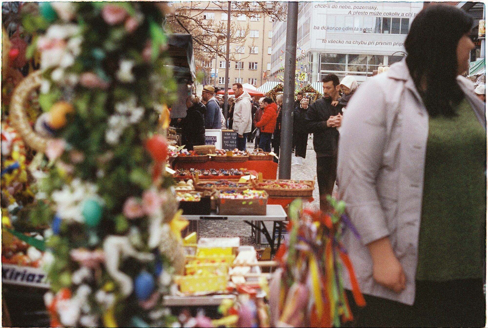 Film kodak vision 3 250D (5207) - iso 250-400 - 36 kiểu - chụp được máy cơ và máy PnS