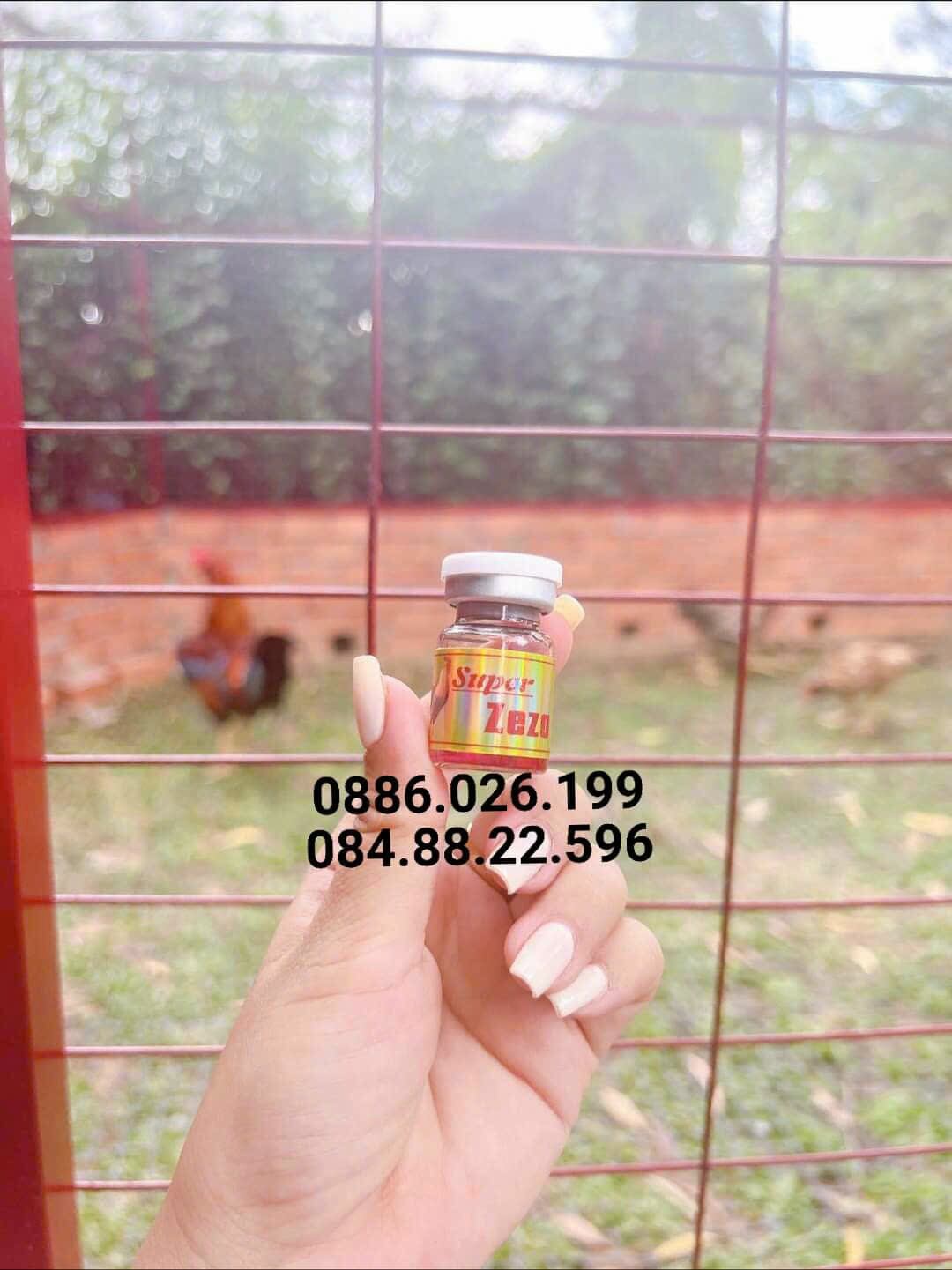 Té gió, bại liệt, chân yếu cho gà đá
Super Zezo