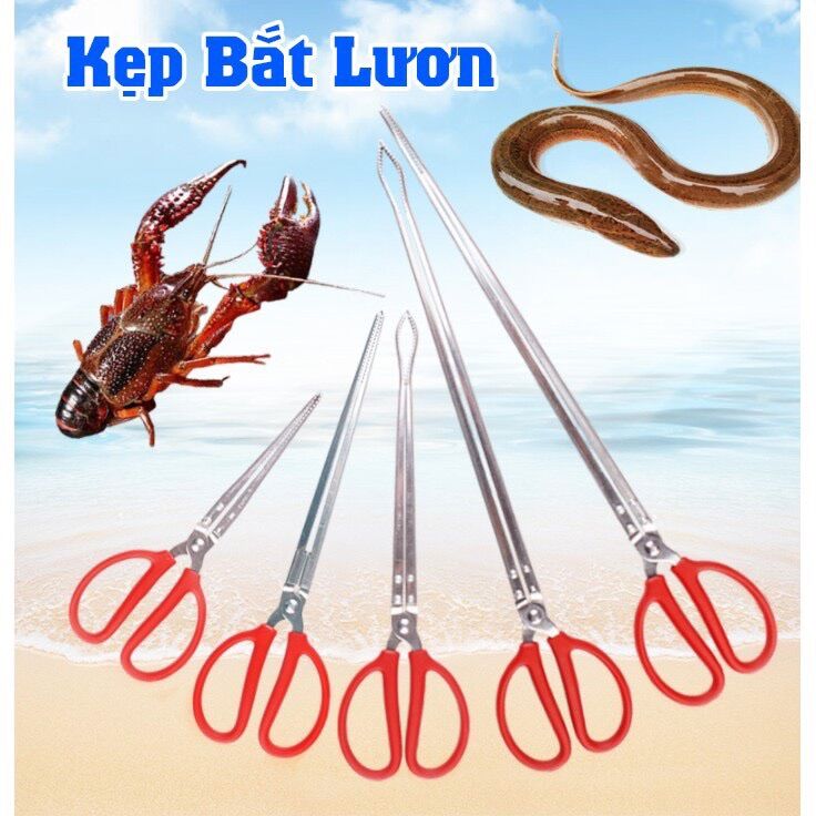 Kẹp bắt lươn rắn - hải sản cua ghẹ