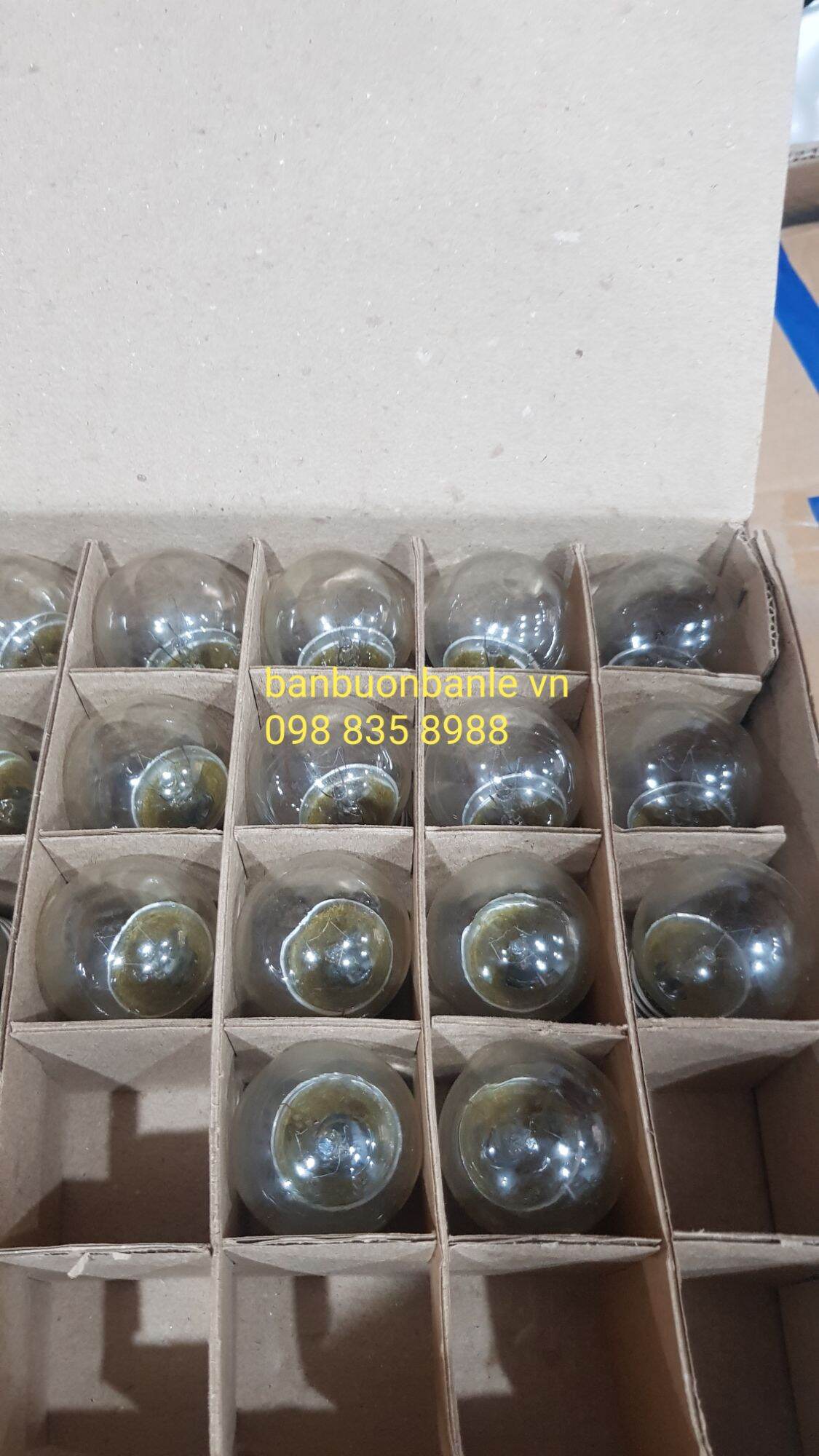 Hôp 25c bóng đèn sợi đốt 5w đui E27 Hòa Thái