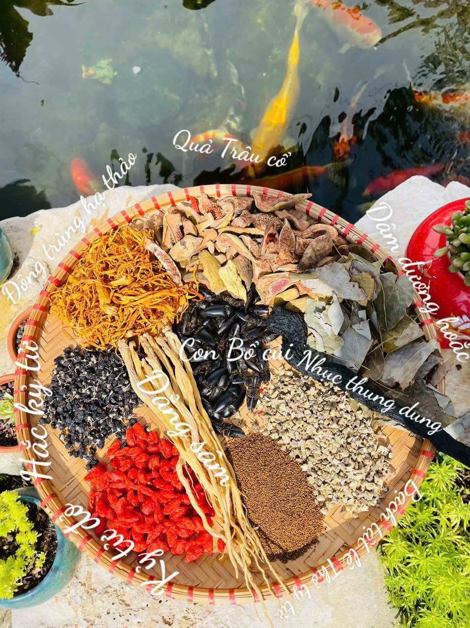 🍀Sét 10 vị Ngâm Rượ Bổ Củi - Bổ thậ.n tráng dương, tăng cường sin.h l.ý,Kéo dài thời gian quan hệ,Mạnh gân cốt, giảm đau nhức xương khớp,Tăng cường sức đề kháng, bồi bổ sức khỏe- Đặc Sản Tây Bắc 333