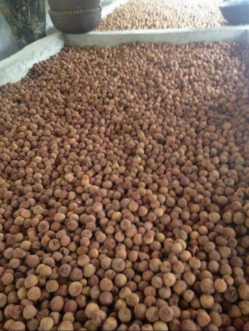 Long vải( vải đã bóc vỏ) đặc sản Bắc Giang