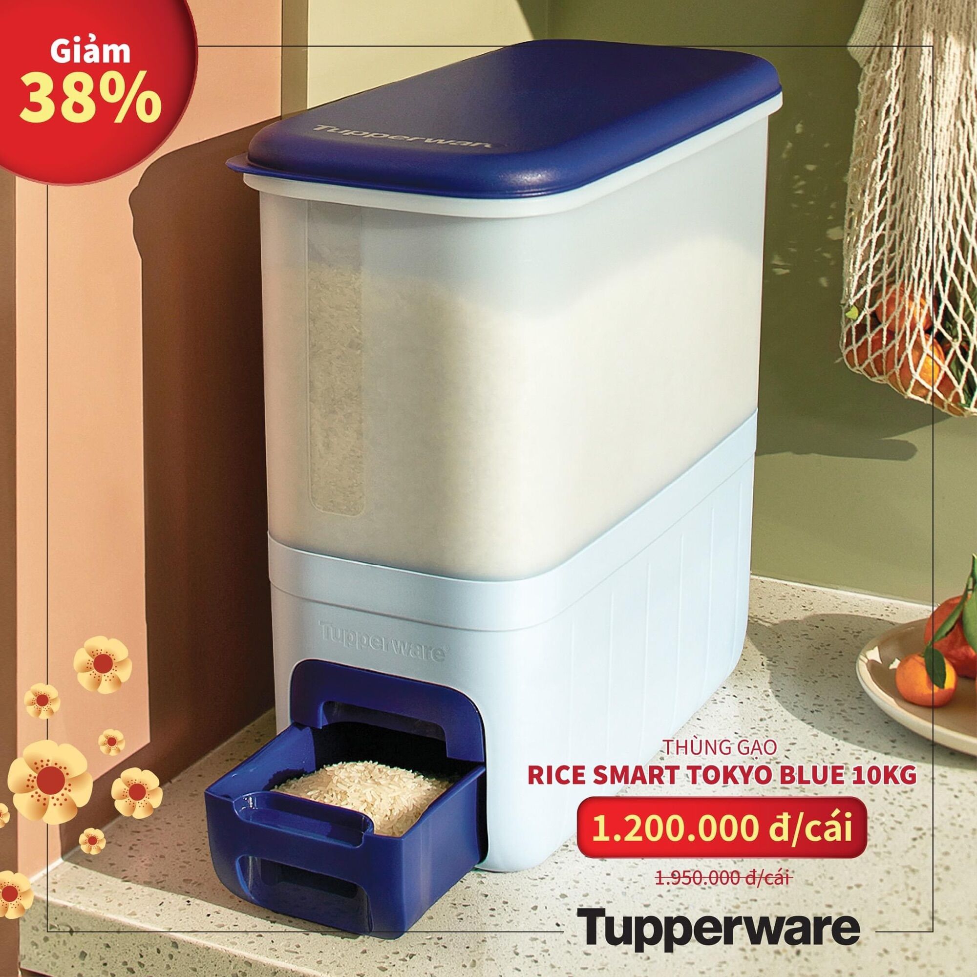 [HCM]Thùng gạo Tupperware ( đựng được 10kg gạo )