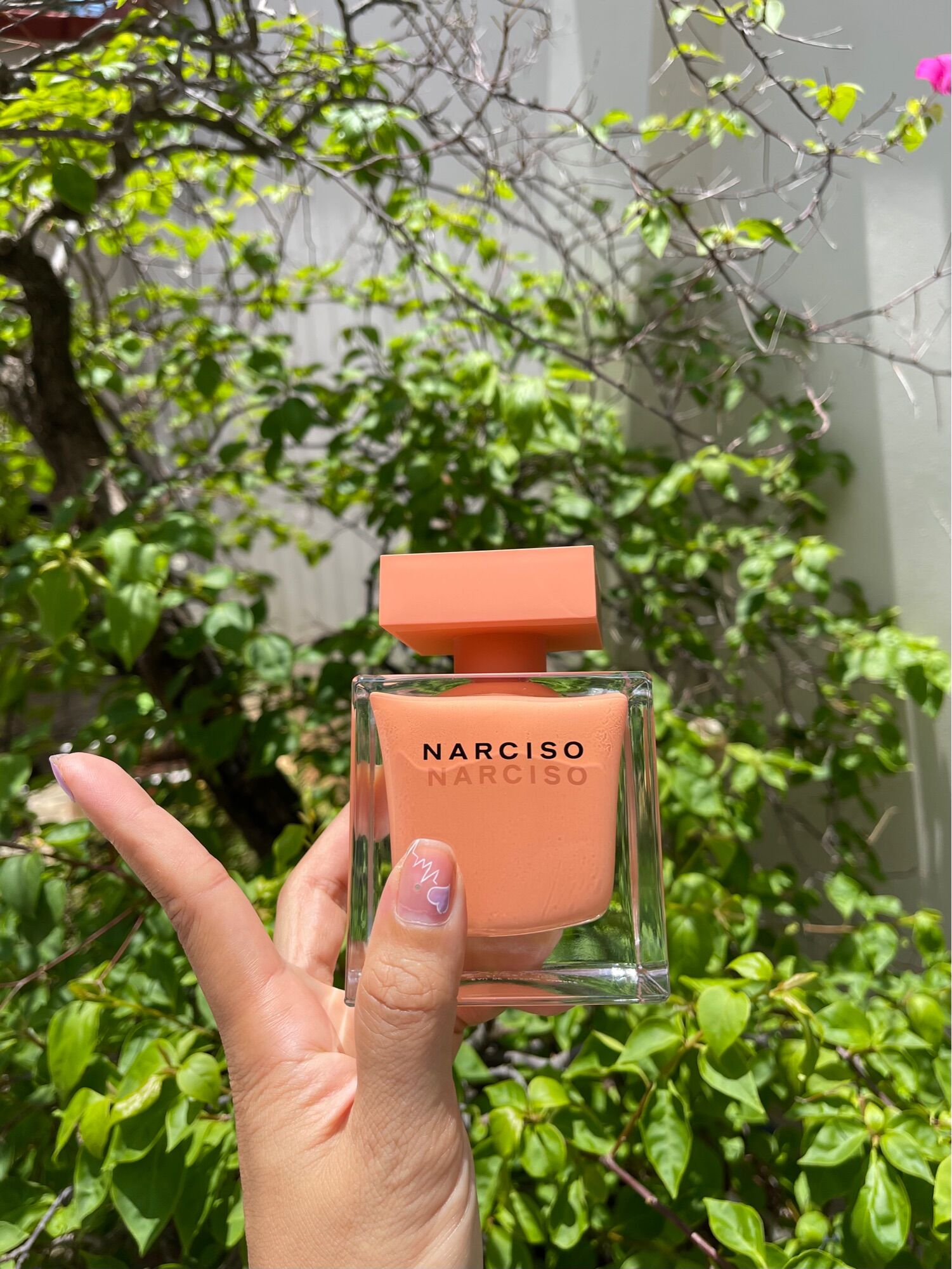 Mẫu thử 10ml nước hoa Narciso Ambree