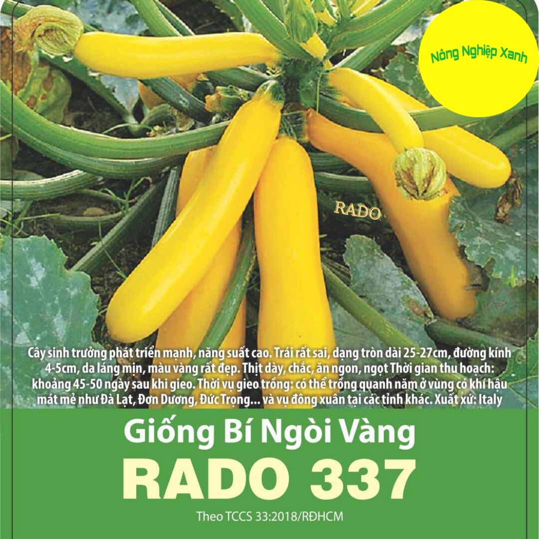 Hạt giống bí ngòi vàng f1 dễ trồng, sai trái