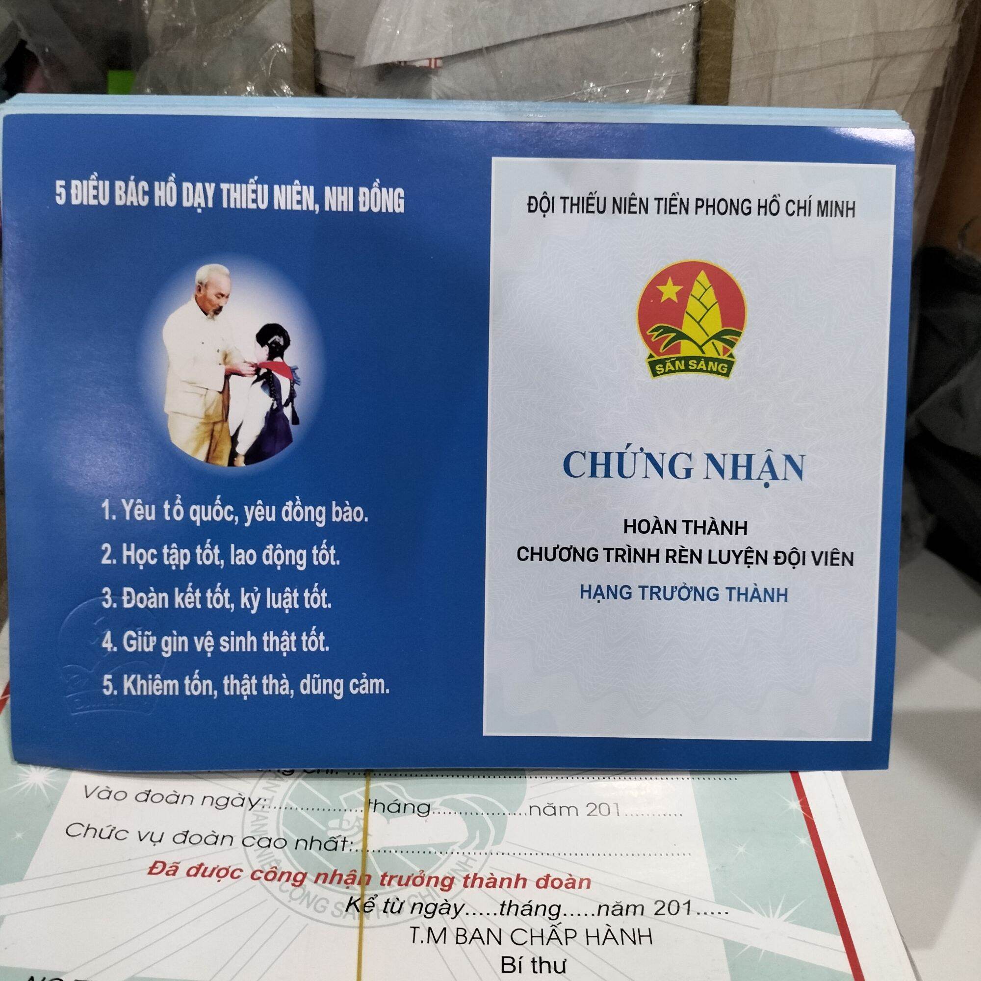 50 Giấy chứng nhận hoàn thành chương trình rèn luyện đội viên hạng trưởng thành