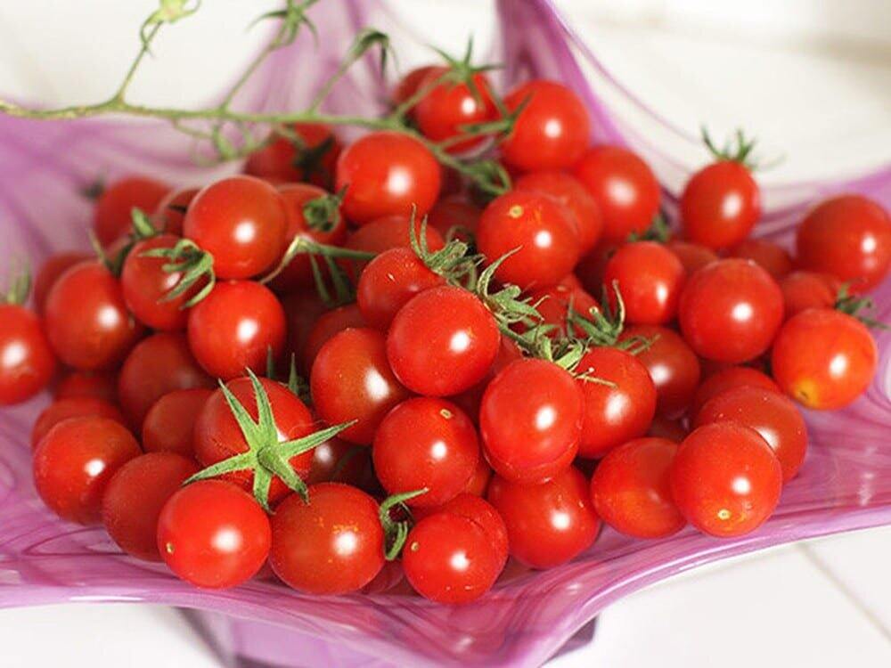 Hạt  cà chua  bi  lùn  siêu quả
