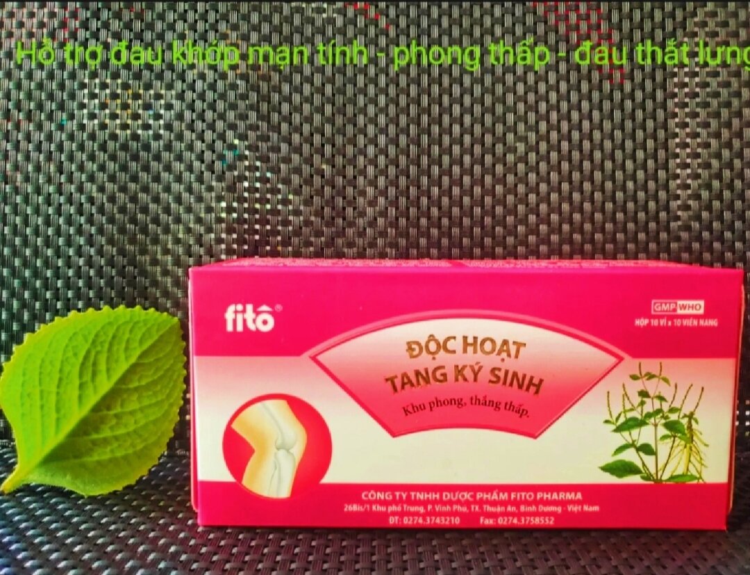 Độc Hoạt Tang Ký Sinh fito - giải quyết nổi lo cho người gập vấn đề xương khớp - 1hộp 100viên