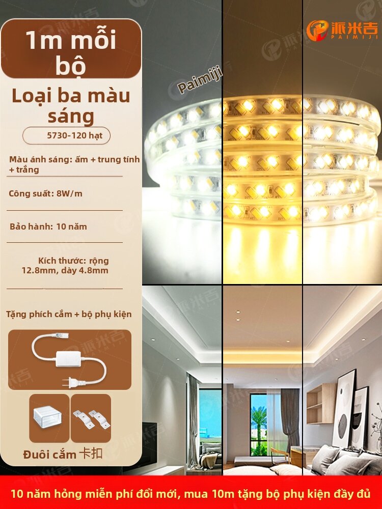PAIMIJI | Dải Đèn LED 3 Màu 220v Chống Nước Tự Dính