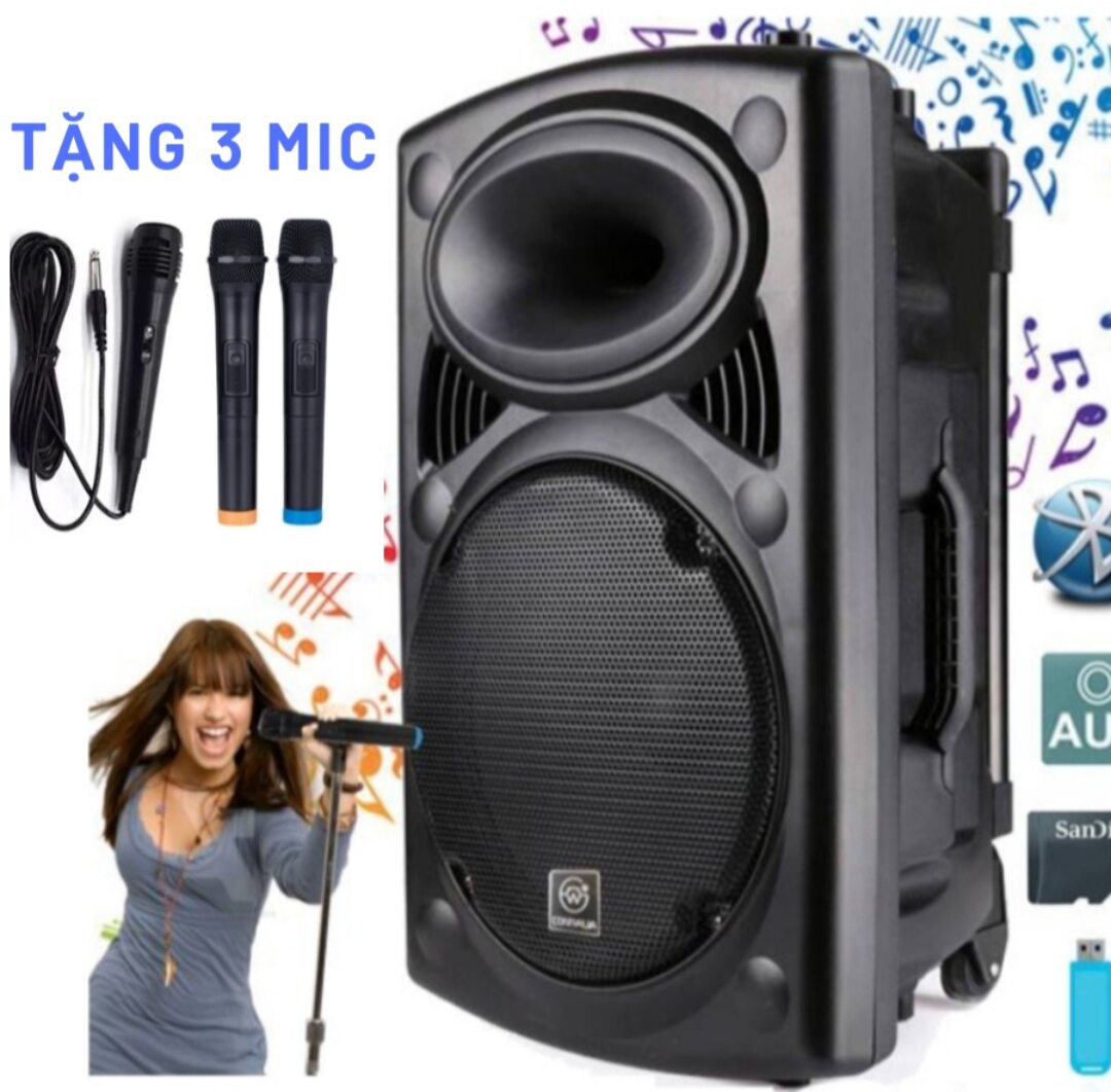 loa kéo karaoke bass 30+3 mic