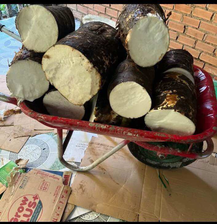 3kg bac hà núi -An giang