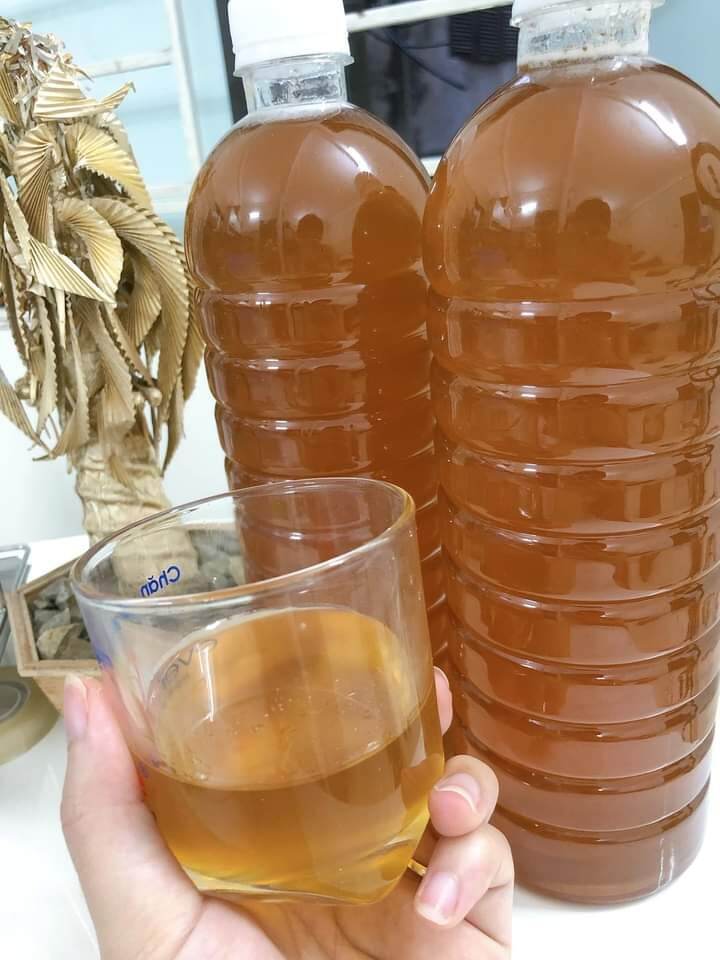 [NGUYÊN CHẤT 100%] Mật Ong Hoa Cà Phê Đaklak