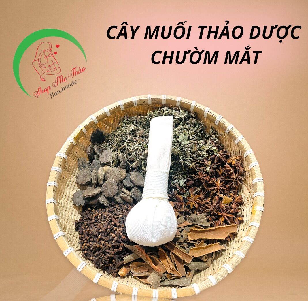 CÂY MUỐI CHƯỜM MẮT THẢO DƯỢC