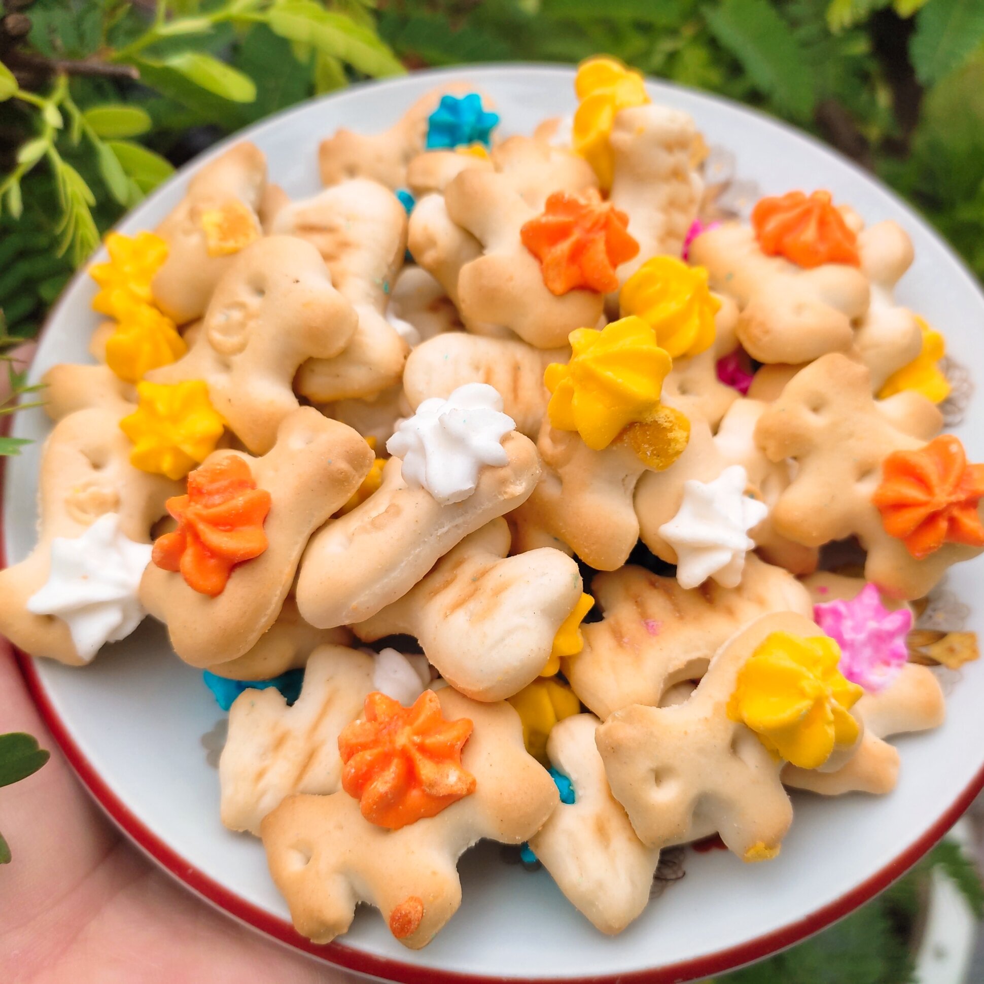 Bánh ngựa bông tuổi thơ 500g