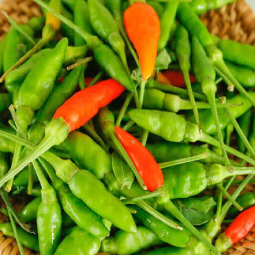 Hạt Giống Ớt Xiêm Rừng Cao Sản F1 Gói 0.1g - Nông Nghiệp Sạch Tại Nhà