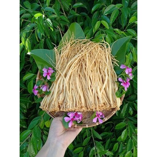 Đẵng sâm 1kg ( dùng nấu gà tiềm, ngâm rượu)