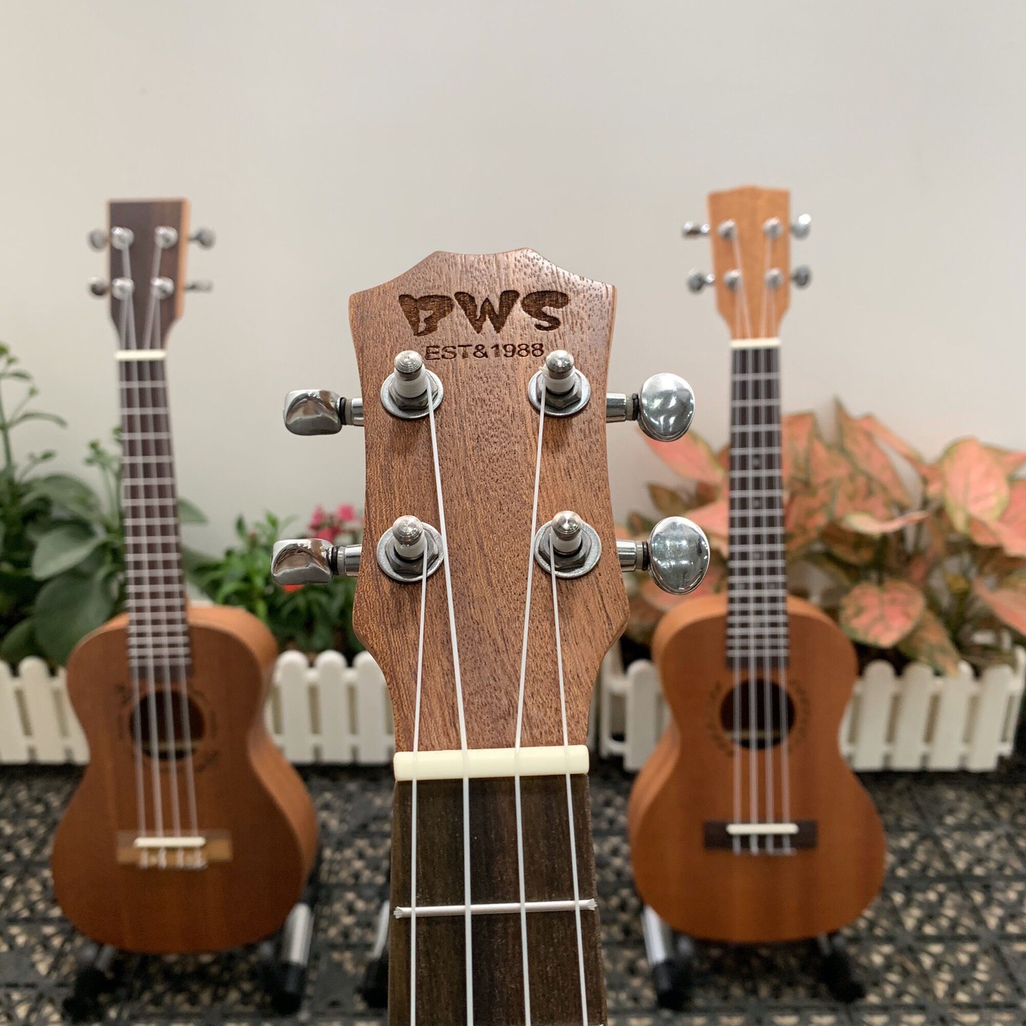 (RẺ VÔ ĐỊCH) ĐÀN UKULELE CONCERT BWS KẺ VIỀN