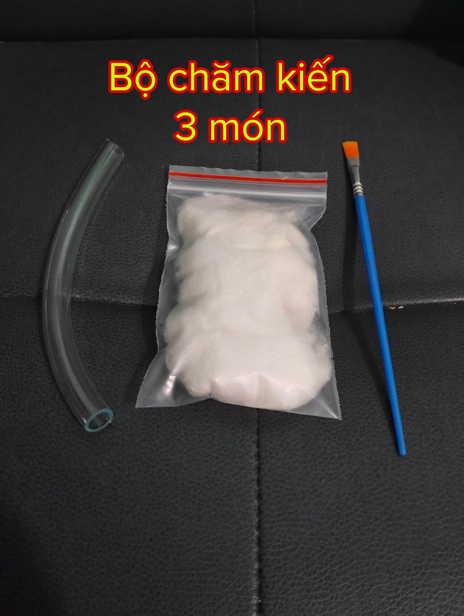 Bộ chăm kiến 7 món - Hoài Nam Pet