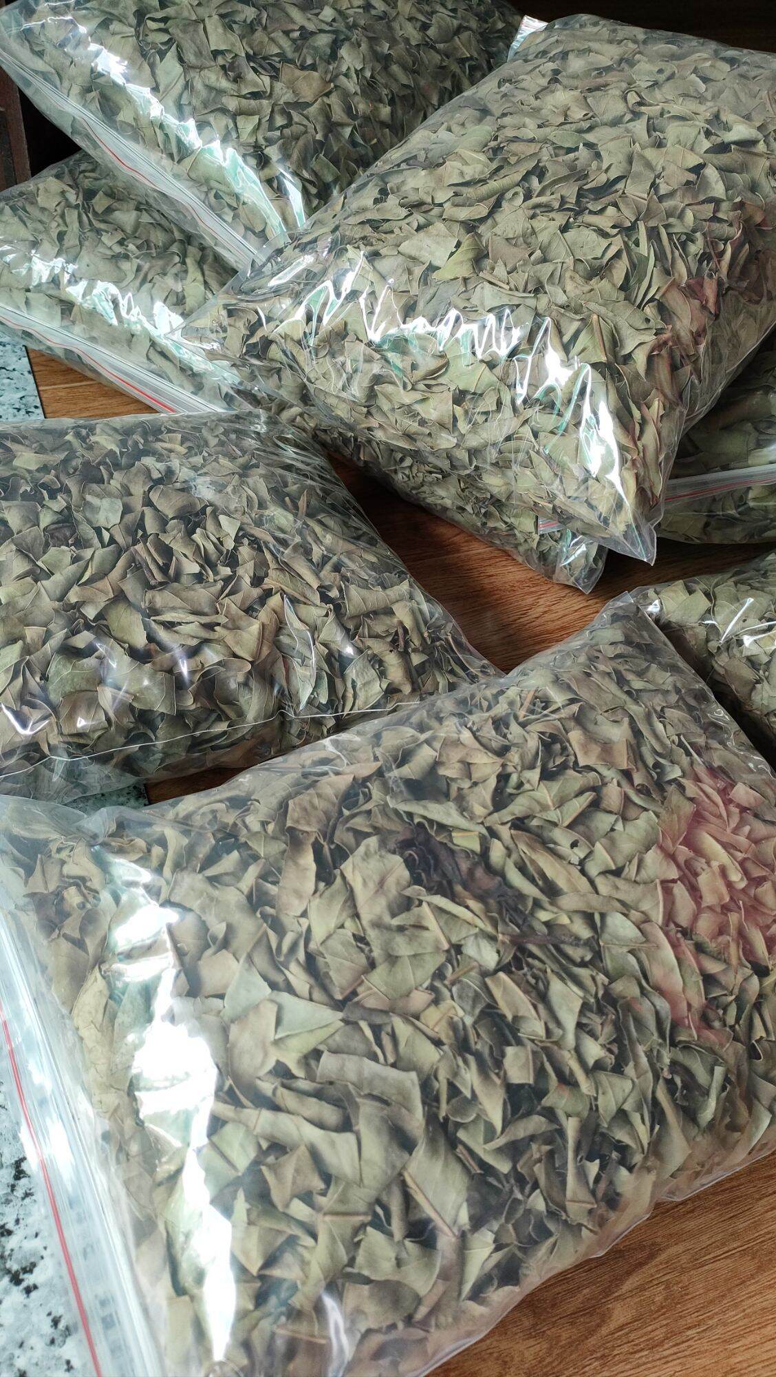 Lá vối khô ( trà lá vối  500gr )