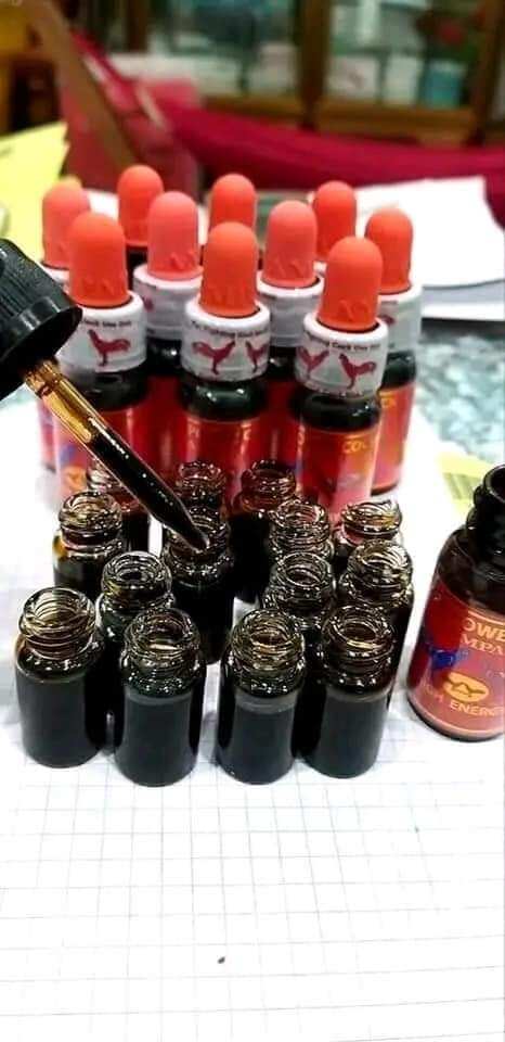 Nhỏ đá nâu socola tăng bo cho gà