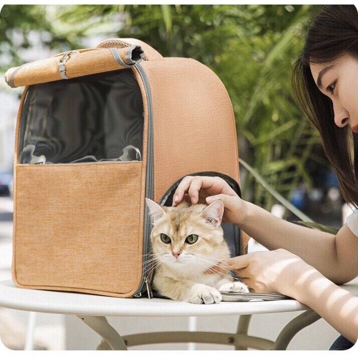 Balo chó mèo, túi vận chuyển chó mèo size to