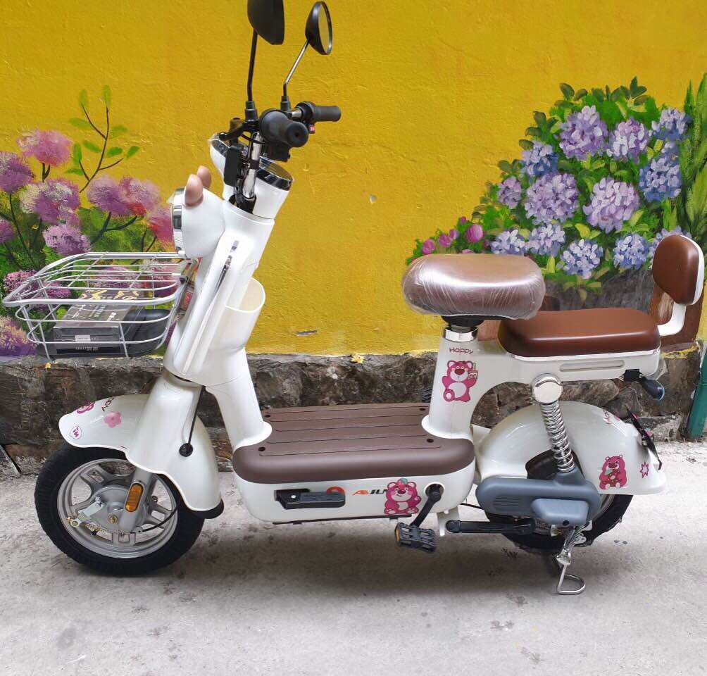 Xe Đạp Điện Mẫu Mới ( Mở Khoá Từ) sẵn hàng