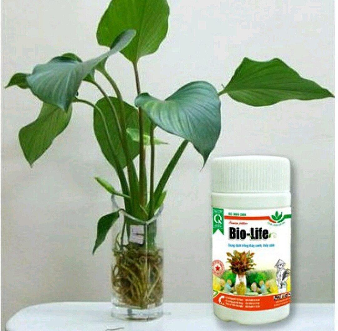 Bio life - dung dịch thủy canh thủy sinh lọ 100ml