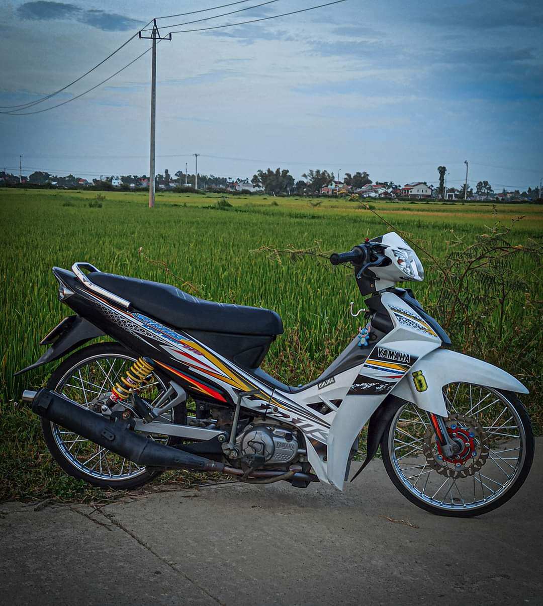 Tem rời sirius trắng đen, đẹp, rẻ, chất lượng