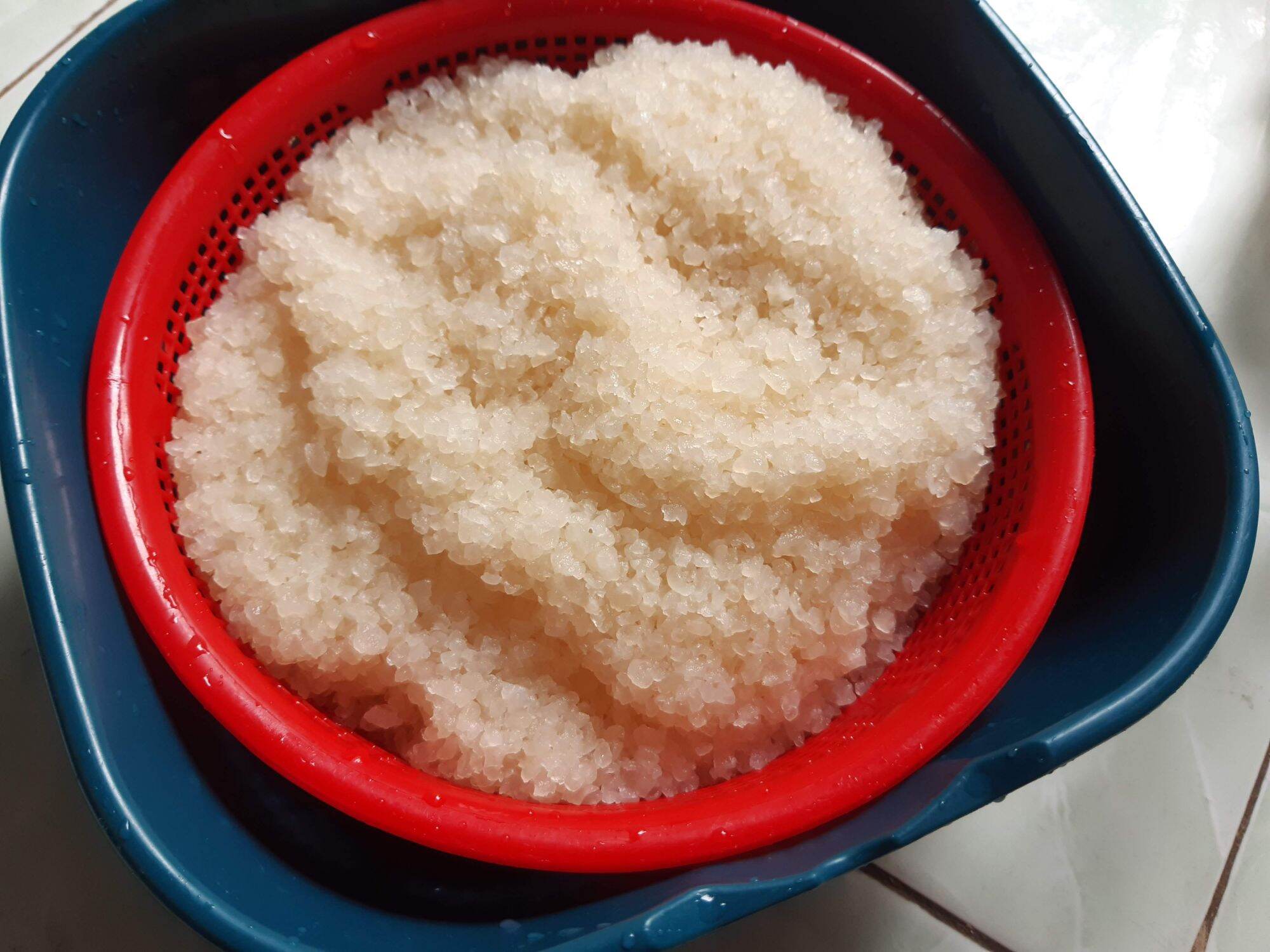 nấm nước kefir( water kefir) đã thuần dừa ( 60gr)