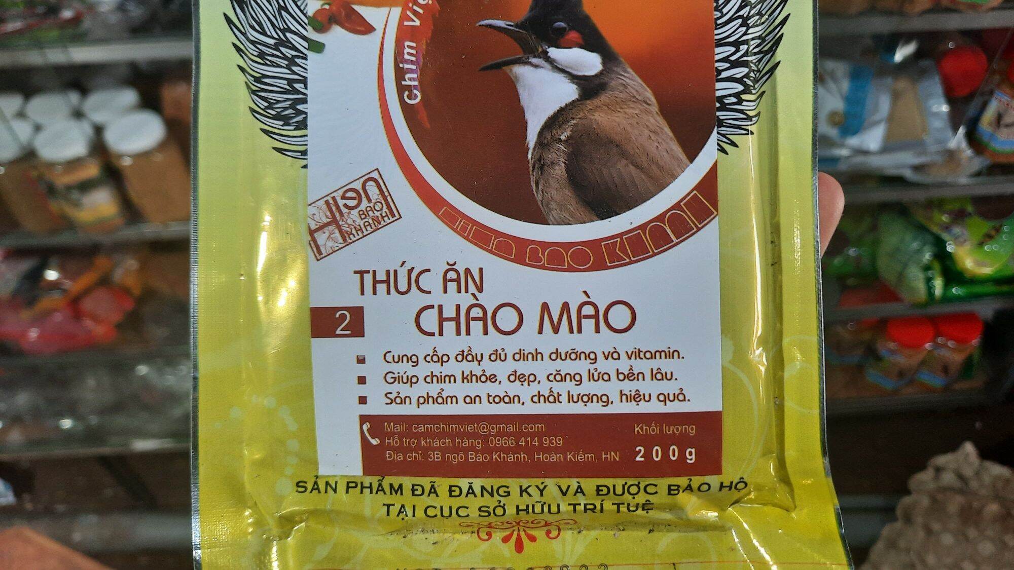 cám chào mào hiển bảo khánh số 2