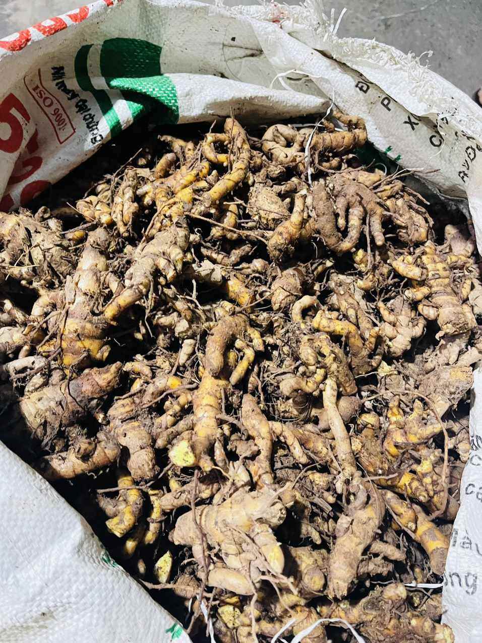 1kg củ nghệ bọ cạp tươi ruột vàng