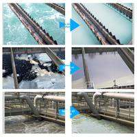 ENZIQUAN | Industrial Foam Eliminator 2.5kg