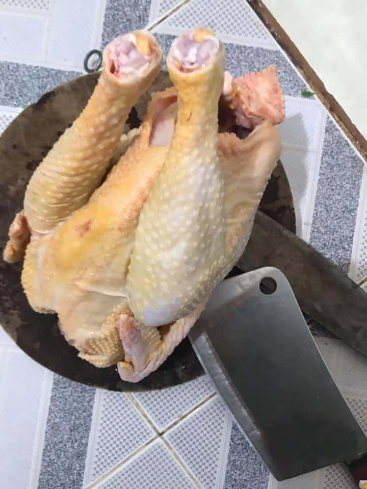 Gà ta thả vườn gà ác gà tre