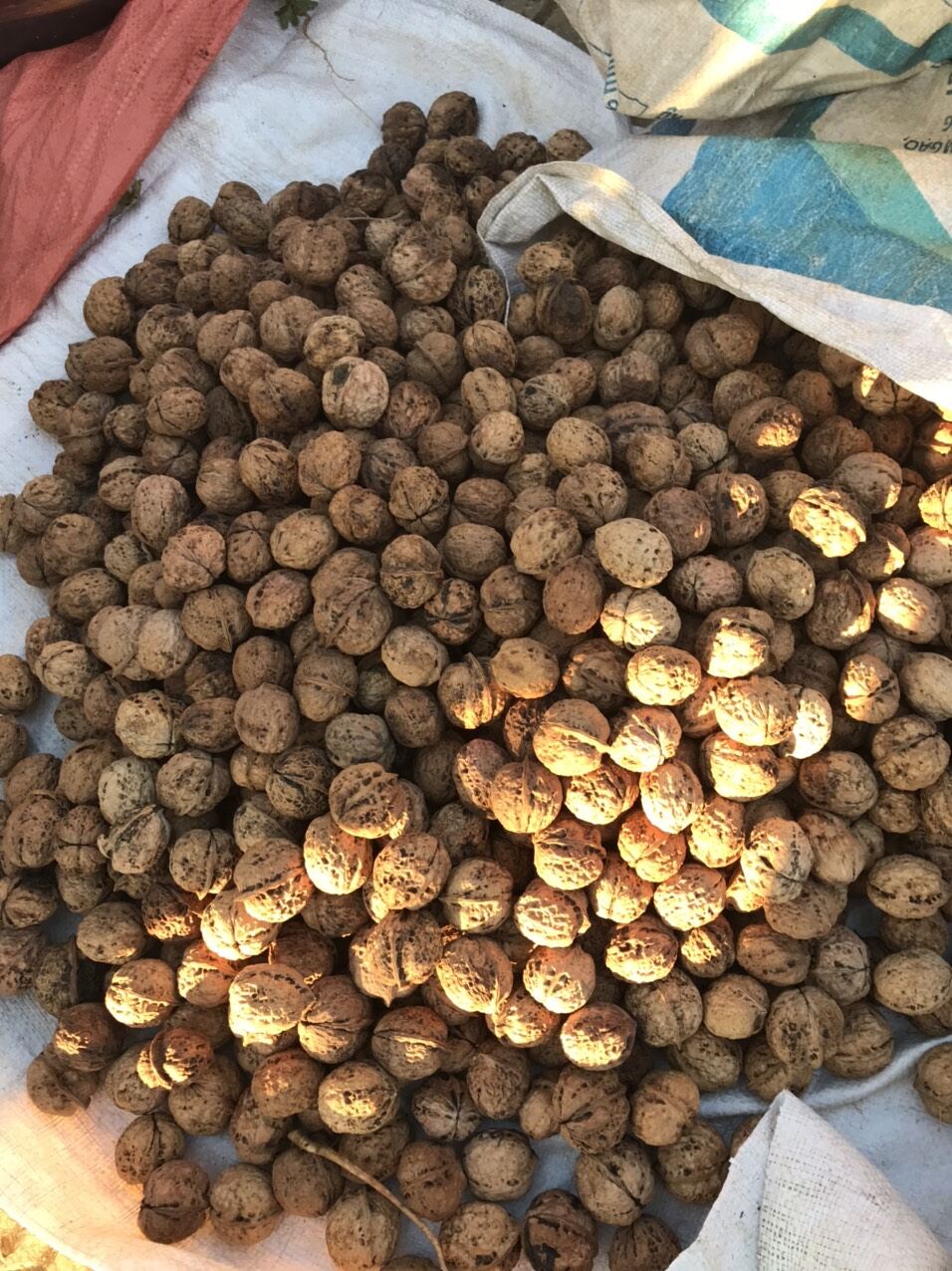 1kg quả óc chó đặc sản Sìn Hồ Lai Châu