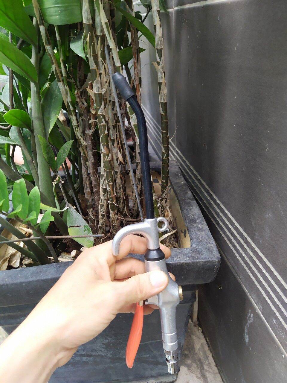 Xịt hơi Kapusi hàng bao đẹp