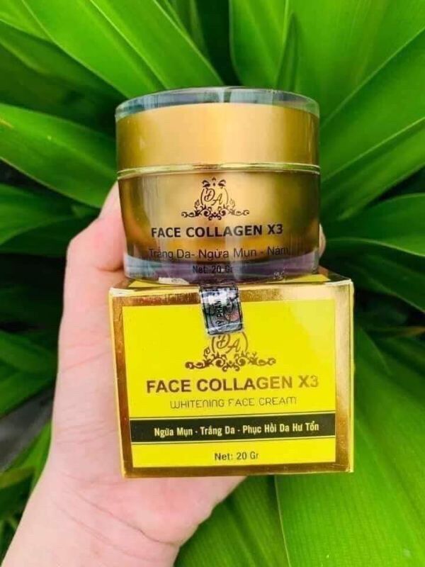 [HCM]Kem face collagen x3