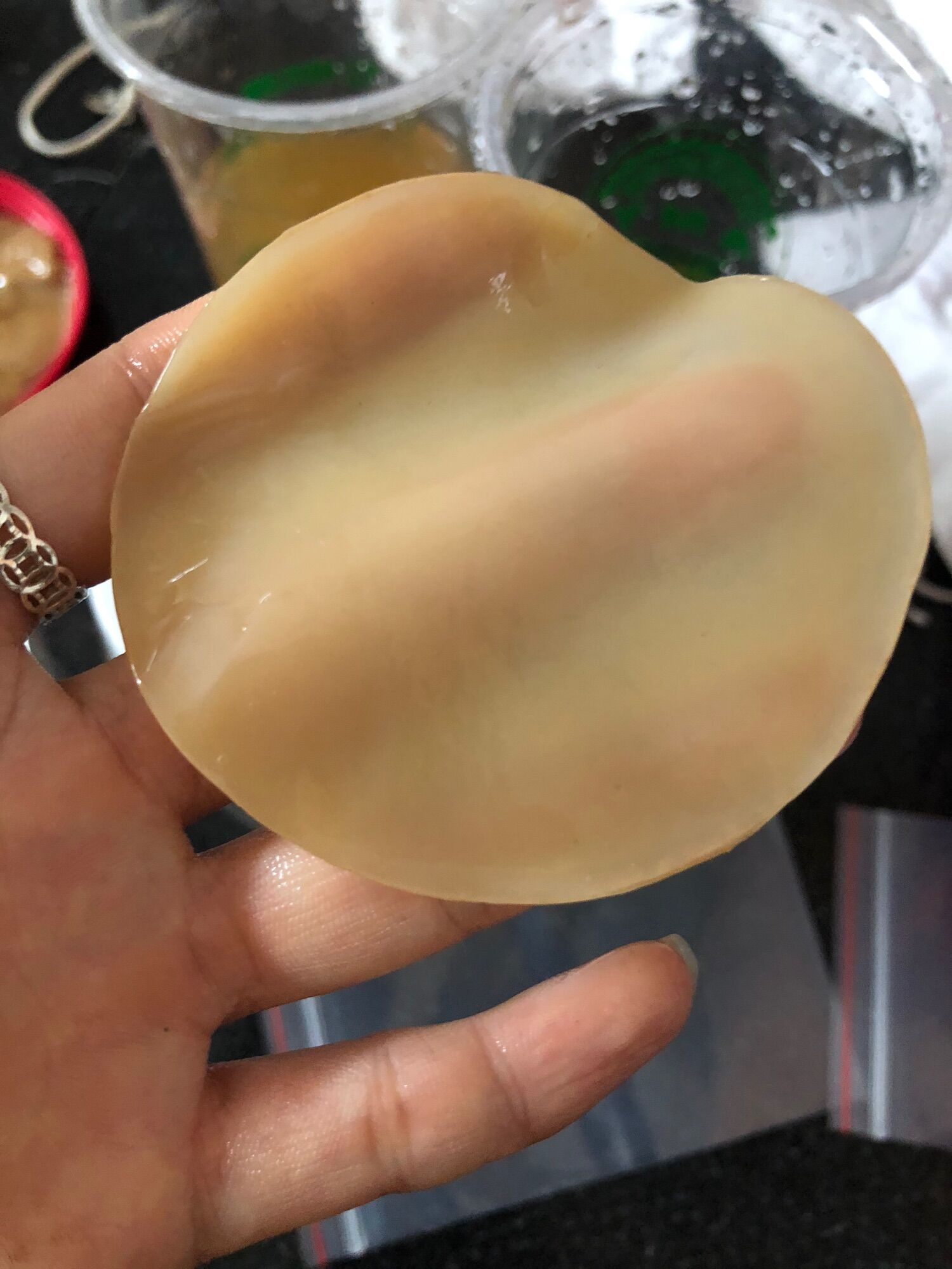 Nấm KOMBUCHA Nấm Thuỷ Sâm SCOBY KOMBUCHA