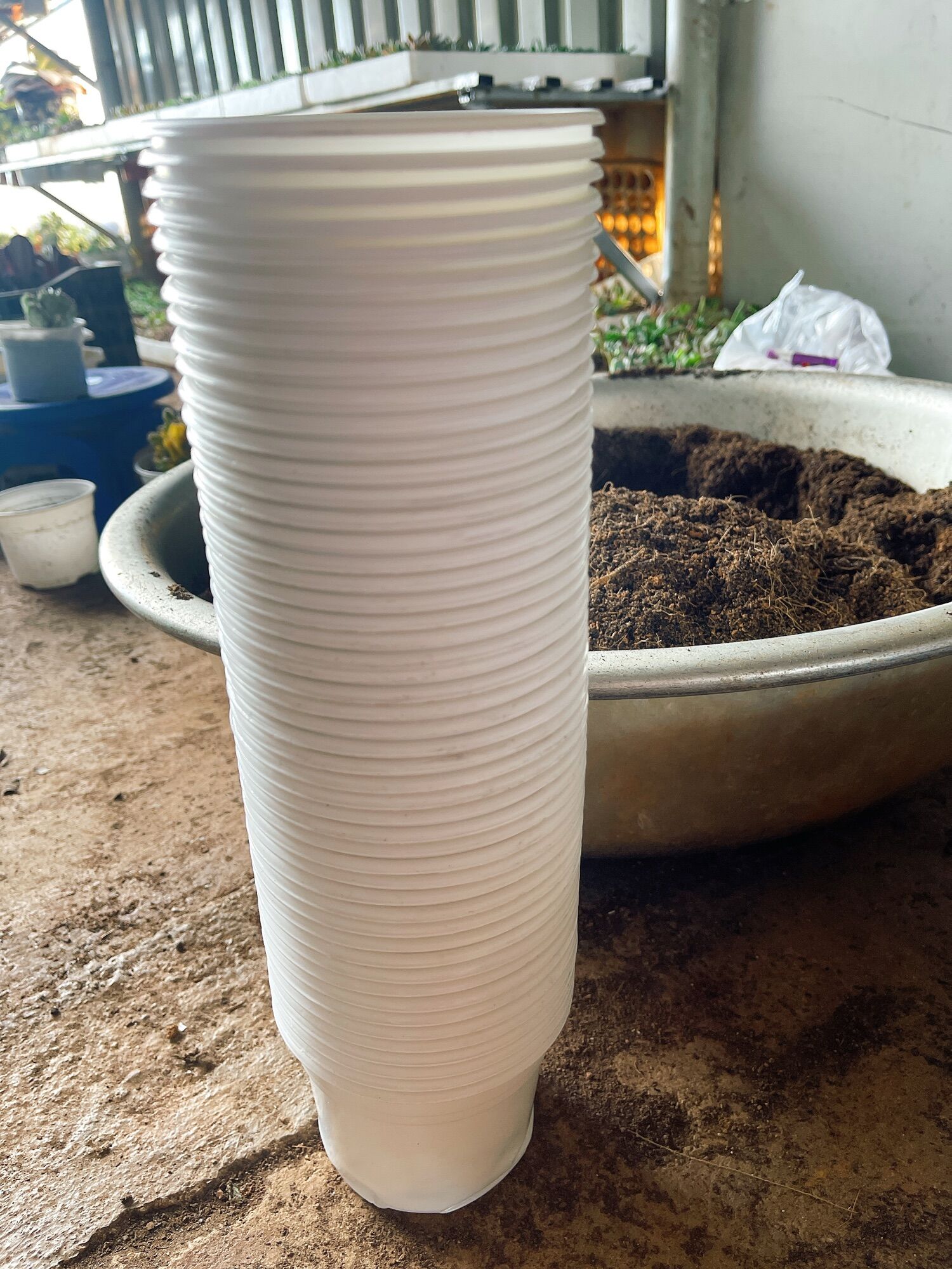 Chậu nhựa trồng sen đá 105x80mm