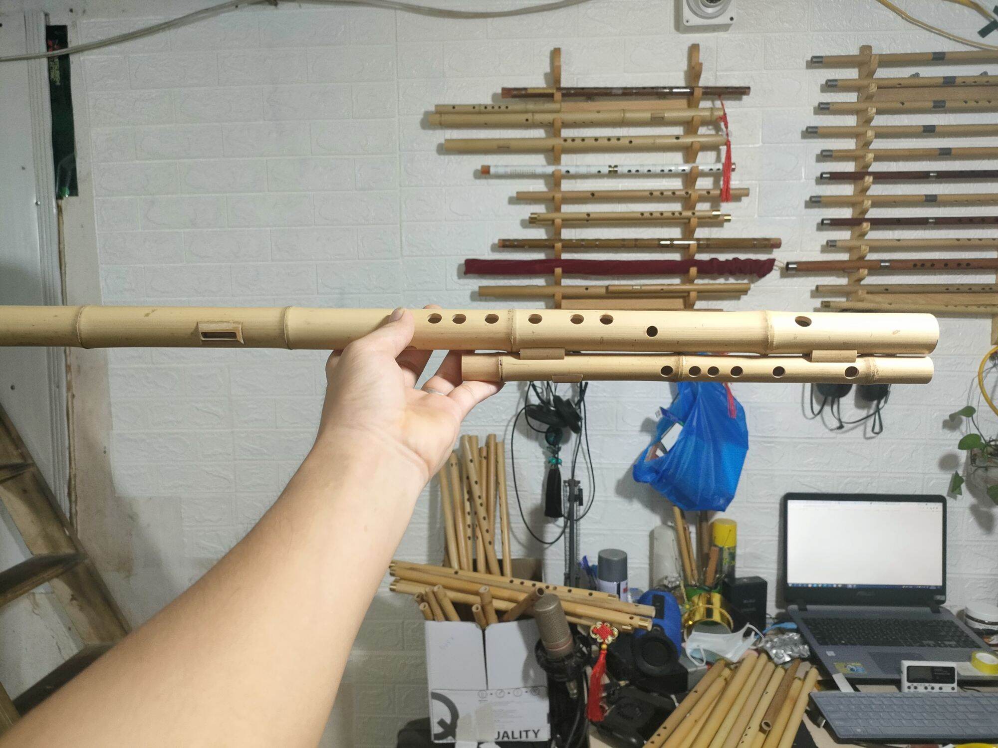 Sáo mèo việt