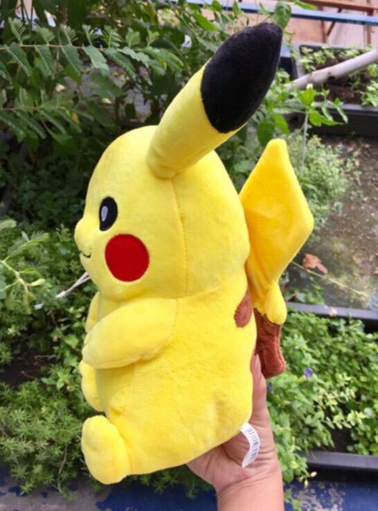 [HCM]Gấu bông pikachu dễ thương