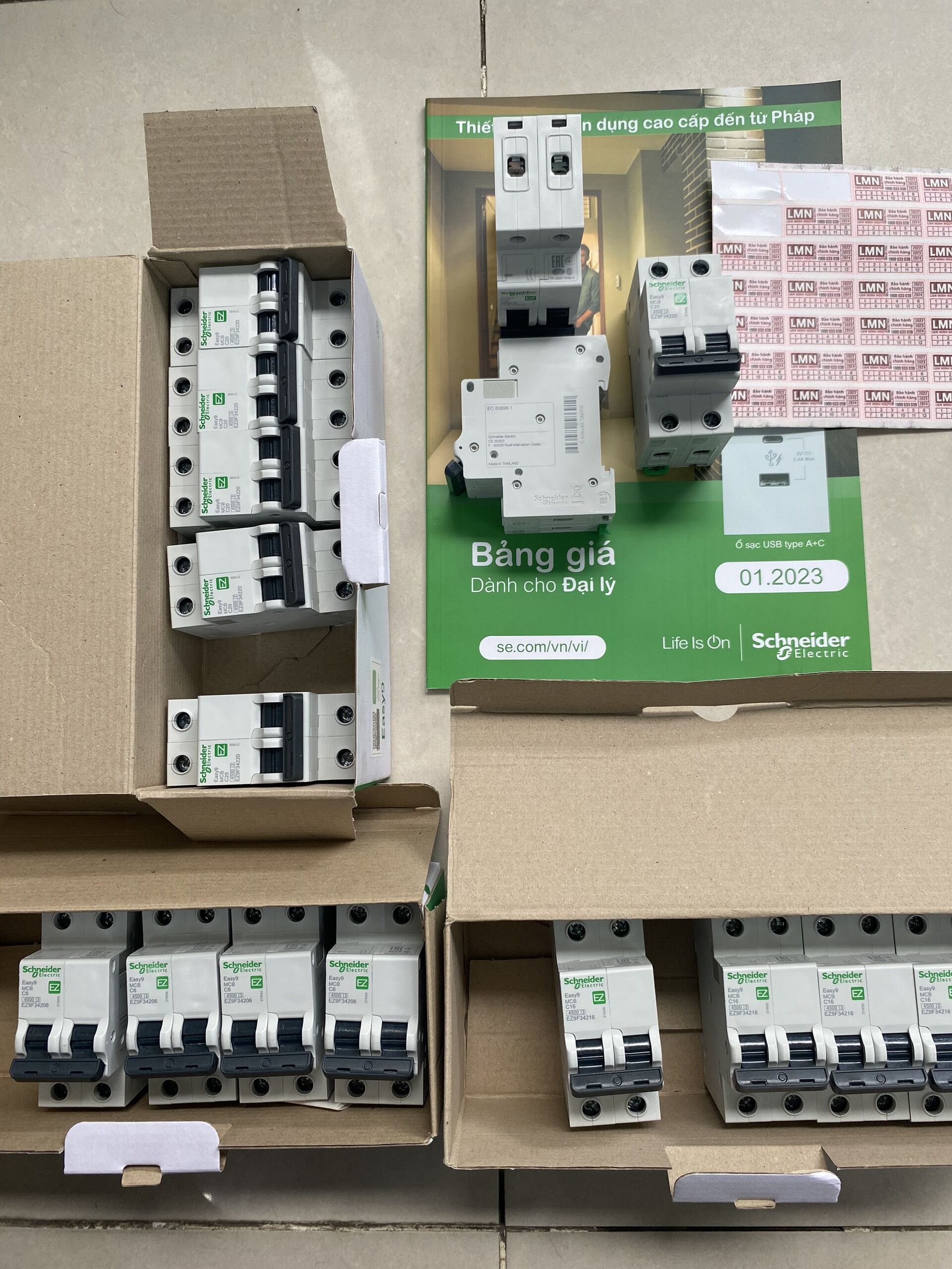 Schneider Aptomat MCB 2 pha 2 tép 40A EZ9F34240